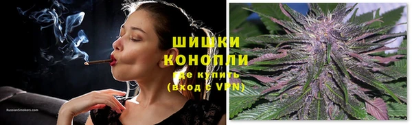 прущий лед Козельск