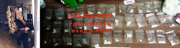 прущий лед Козельск