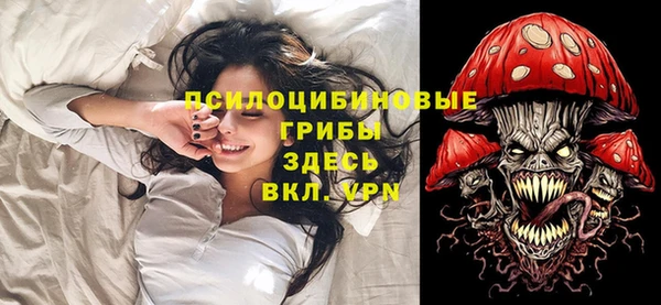 соль курить ск Козловка
